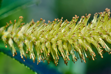 Similar image 19951735