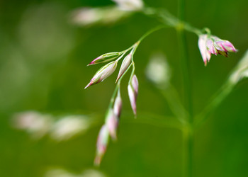 Similar image 19951738