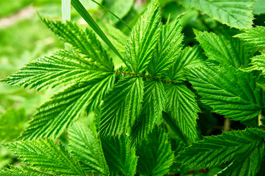 Similar image 19951743