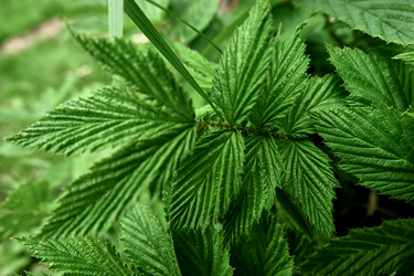 Similar image 19951748