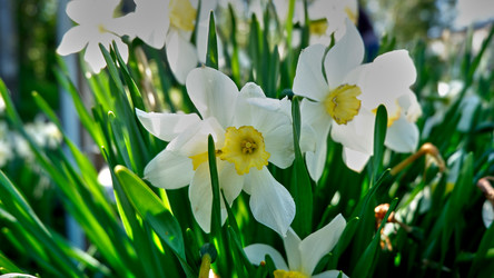 Similar image 19951757