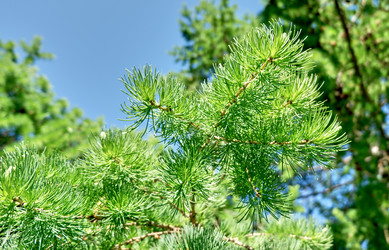 Similar image 19951777