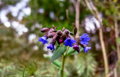 Similar image 19951854