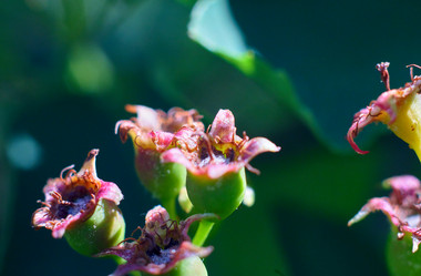 Similar image 19951919