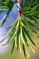 Similar image 19951960