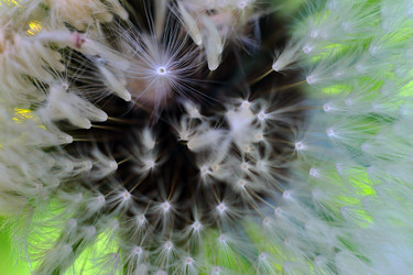 Similar image 19951996