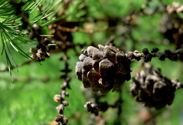 Similar image 19951884