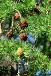 Similar image 19951888