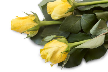 Similar image 20166287