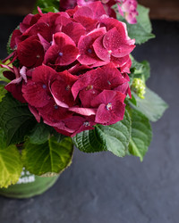 Similar image 19944869