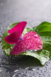 Similar image 19944871