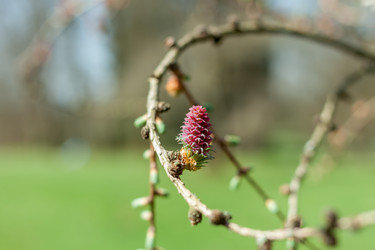 Similar image 20194242