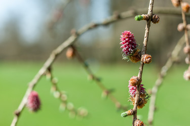 Similar image 20194243