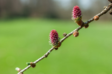 Similar image 20194512