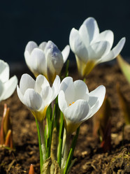 Similar image 19966103