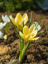 Similar image 19966210