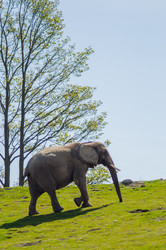 Similar image 20121532