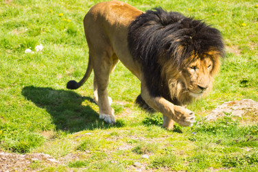 Similar image 20121670