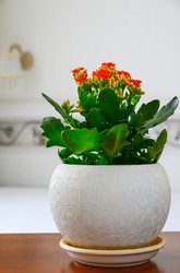 Similar image 19965371