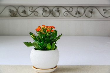 Similar image 19965383