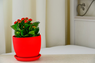 Similar image 19965502