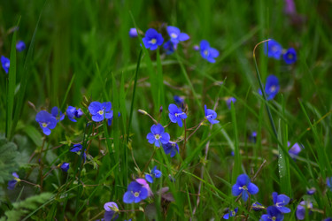 Similar image 19950562