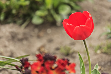 Similar image 19950542