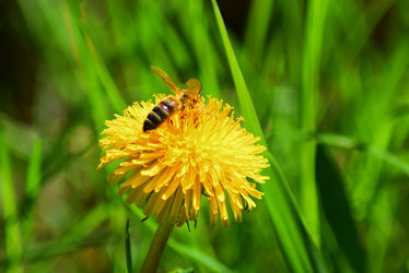 Similar image 19951016