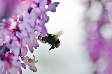 Similar image 19951017