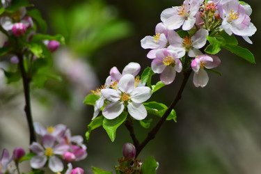 Similar image 19951018