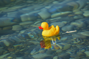 Similar image 19951020