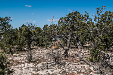 Similar image 19962629