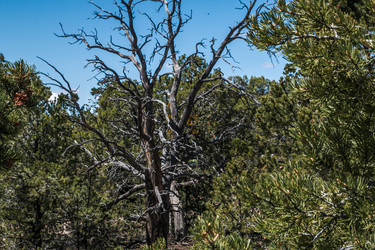 Similar image 19962633