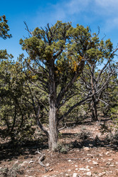 Similar image 19962636