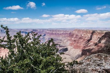 Similar image 19962699