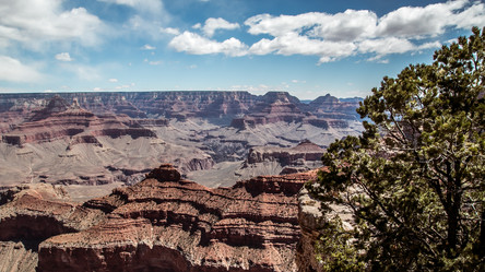 Similar image 20105707