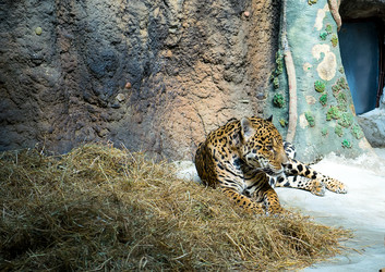 Similar image 19950564