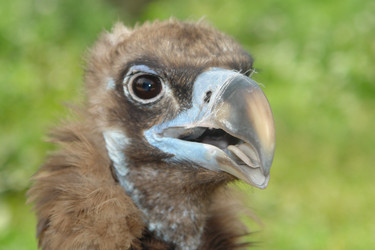 Similar image 19951249