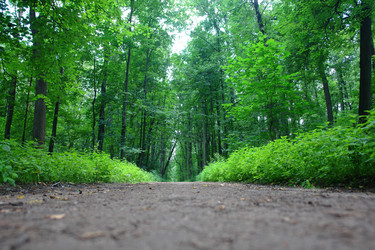 Similar image 19951253