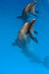 Similar image 19951258