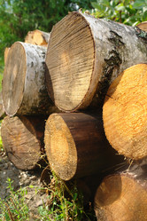 Similar image 19951260