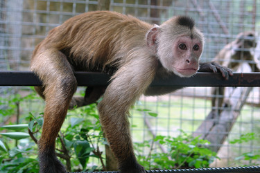 Similar image 19951284