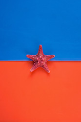 Similar image 20058140