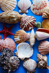 Similar image 20058141