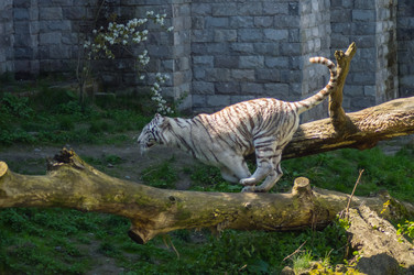 Similar image 20121673