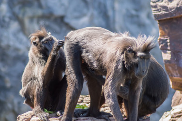 Similar image 20121686