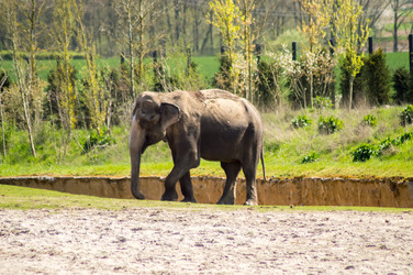 Similar image 20121692