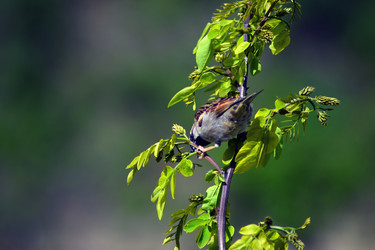 Similar image 20058099