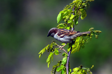 Similar image 20058100