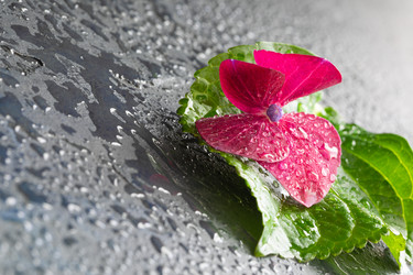 Similar image 19944768